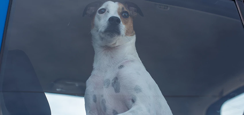 Car Lockout Solutions in Los Banos, California